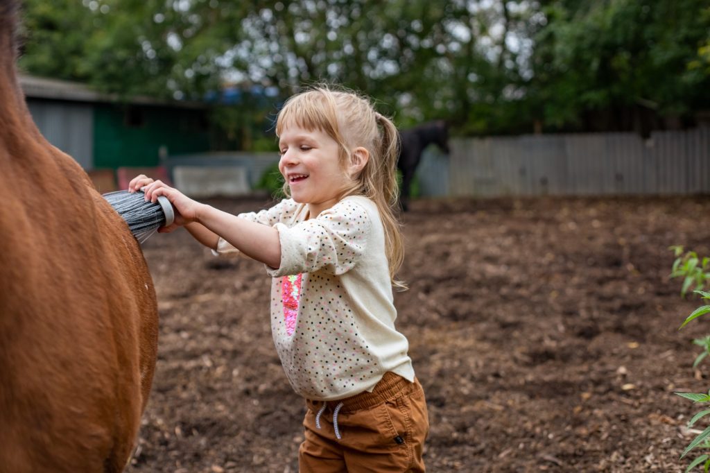 Girl clean her horse with brush and laugh happily