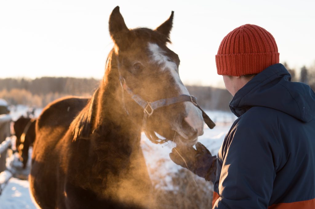 man with horse in farm